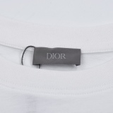 Dior micro -standard embroidery logo T -shirt