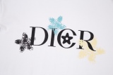 Dior 23FW spring and summer short -sleeved T -shirt