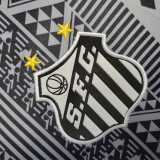 2022/23 Santos FC 3RD Fans Soccer jersey