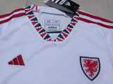 2022 Wales Away Fans Kids Soccer jersey