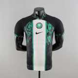 2022 Nigeria Special Edition Player Soccer jersey