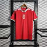 2022 Wales Home Fans Soccer jersey