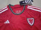 2022 Wales Home Fans Kids Soccer jersey
