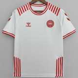 2022 Denmark Special Edition Fans Soccer jersey