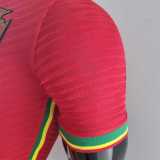 2022 Portugal Special Edition Player Soccer jersey