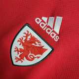 2022 Wales Home Fans Soccer jersey