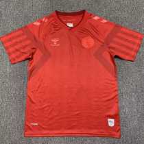 2022 Denmark Home Fans Soccer jersey