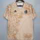 2020/21 Argentina Commemorative Edition Fans Soccer jersey