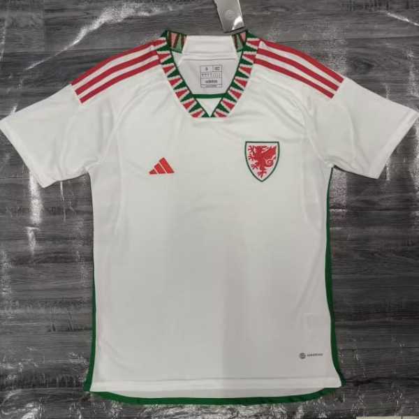 2022 Wales Away Fans Soccer jersey