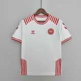 2022 Denmark Special Edition Fans Soccer jersey