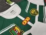 2022 Cameroon Away Fans Soccer jersey