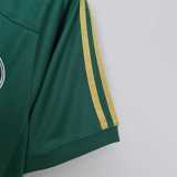 2014/15 Palmeiras Home Retro Soccer jersey