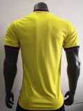 2022 Colombia Special Edition Player Soccer jersey
