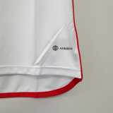 2023 Peru Home Fans Soccer jersey
