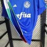 2023/24 Palmeiras Special Edition Fans Soccer jersey