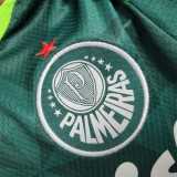 2023/24 Palmeiras Home Baby Jersey