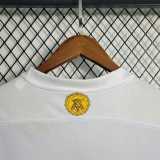 2023/24 AIK Solna Commemorative Edition Fans Soccer jersey