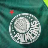 2023/24 Palmeiras Training Shirts