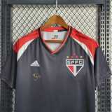 2023/24 Sao Paulo FC Commemorative Edition Fans Soccer jersey