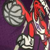1999/00 RAPTORS MCGRADY #1 Purple NBA Jerseys