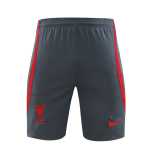 2023/24 LIV Gray Training Shorts Suit