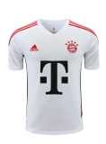 2023/24 Bayern White Training Shorts Suit
