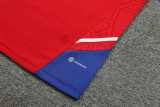 2023/24 Bayern Red Training Shorts Suit