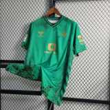 2023/24 Real Betis Special Edition Fans Soccer jersey