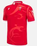 2022/23 Welsh Red Rugby Jersey
