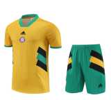 2023/24 Bayern Yellow Training Shorts Suit