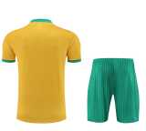 2023/24 Bayern Yellow Training Shorts Suit