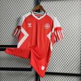 2023 Denmark Home Soccer jersey