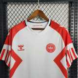 2023 Denmark Away Soccer jersey