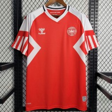 2023 Denmark Home Soccer jersey