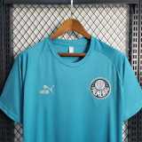2023/24 Palmeiras Blue Training Shirts