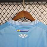 2023/24 Grêmio 3RD Fans Women Soccer jersey