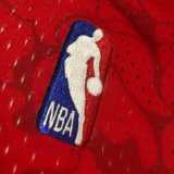 2023/24 BULLS BAPE #93 NBA Jerseys