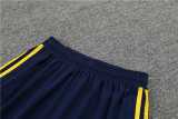 2023/24 Spain light blue short sleeve Training Shorts Suit