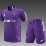 2023/24 Cruzeiro Purple short sleeve Training Shorts Suit
