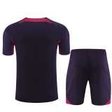 2023/24 PSG Purple short sleeve Training Shorts Suit