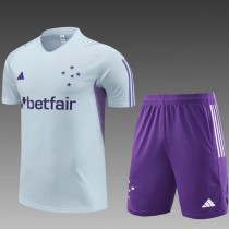 2023/24 Cruzeiro Gray short sleeve Training Shorts Suit