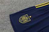 2023/24 Spain Royal blue Training Shorts Suit
