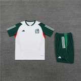 2023/24 Mexico White short sleeve Training Shorts Suit