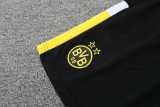 2023/24 Dortmund Yellow Training Shorts Suit