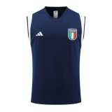 2023/24 Italy Royal blue Training Shorts Suit