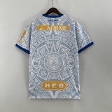 2023/24 Tigres UANL Special Edition Gray Fans Soccer jersey