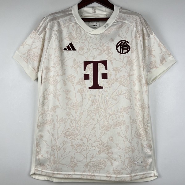 2023/24 Bayern 3RD Gray Fans Soccer jersey