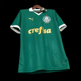 2024/25 Palmeiras Home Green Fans Soccer jersey