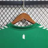 2023/24 Everton GKG Green Fans Soccer jersey