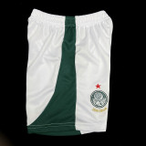 2024/25 Palmeiras Home Green Fans Kids Soccer jersey